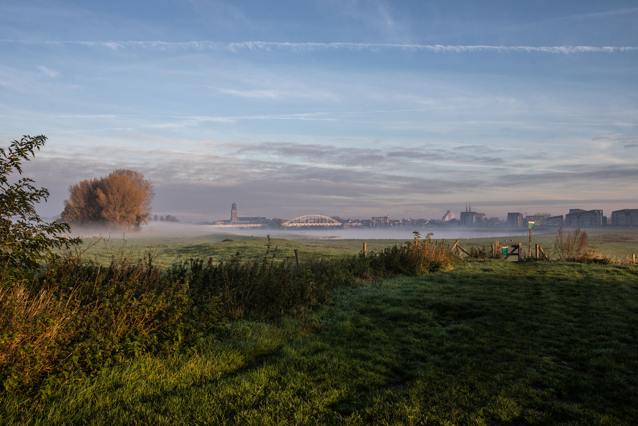 Mistig weiland met in de verte een brug