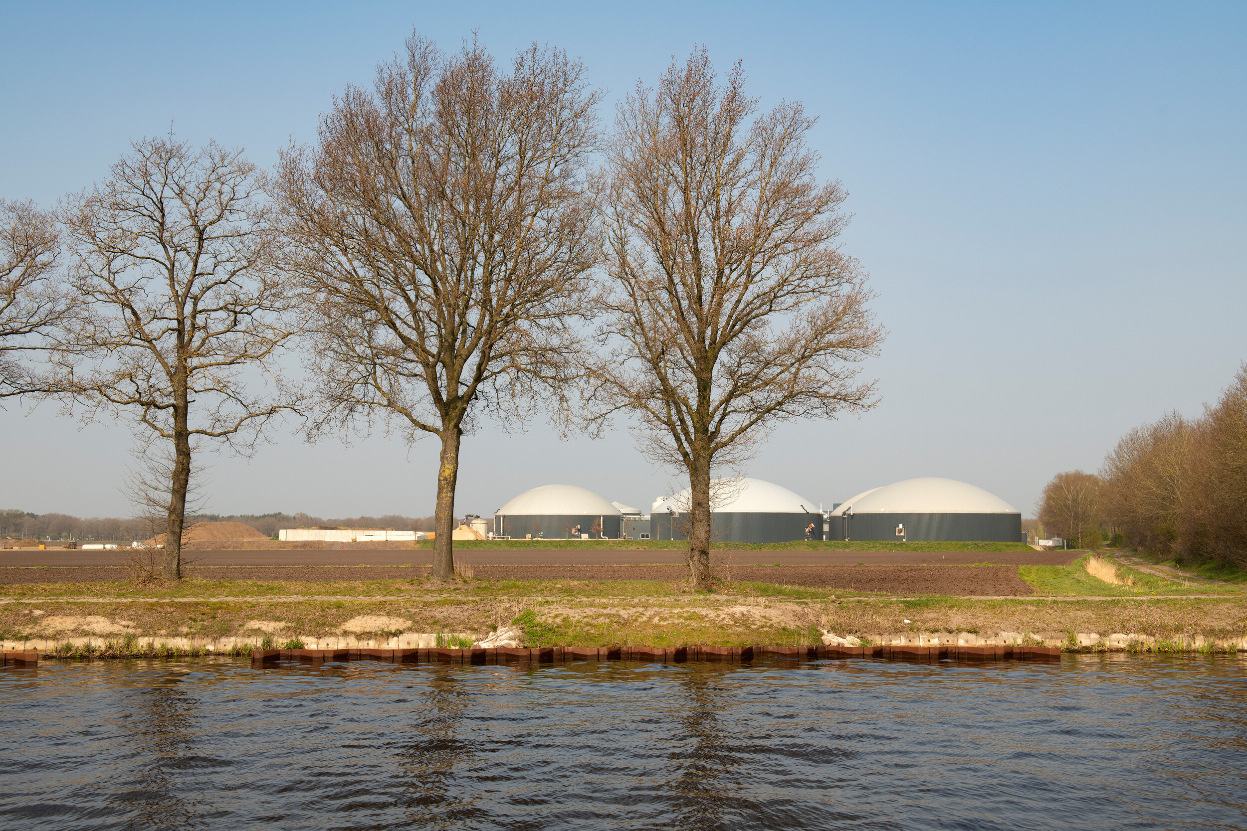 Rijtje bomen met water voor landschap met werkterrein
