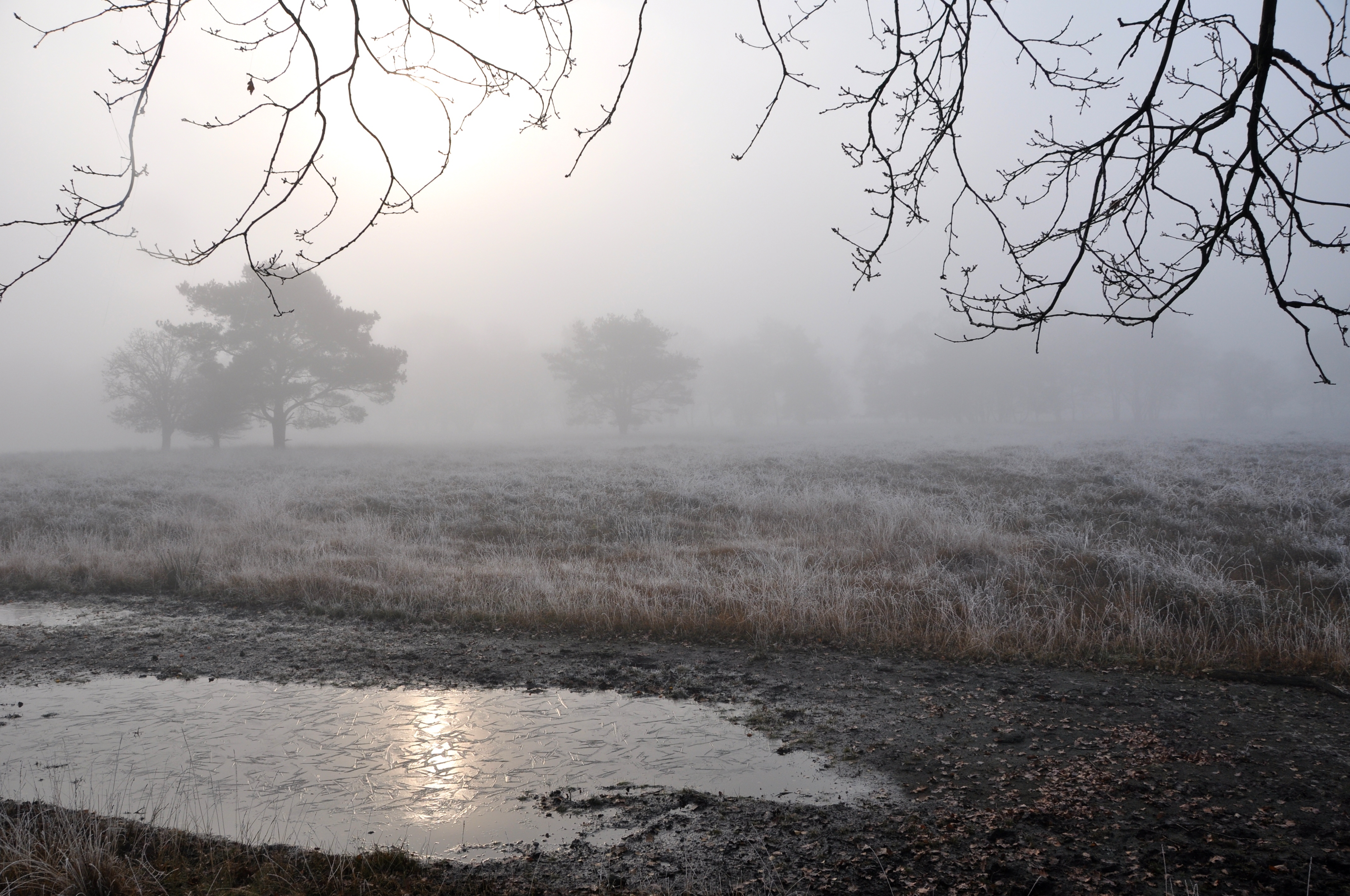 landschap met bevroren water in de mist