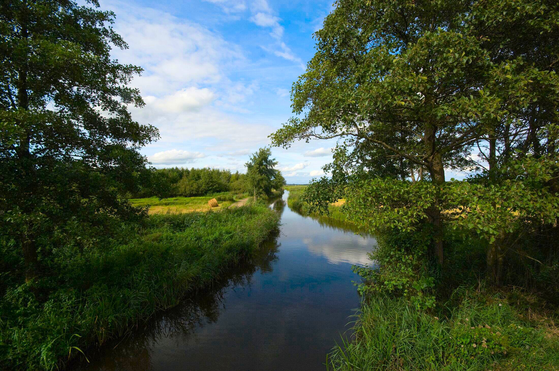 Sloot die kronkelt tussen weilanden met bomen