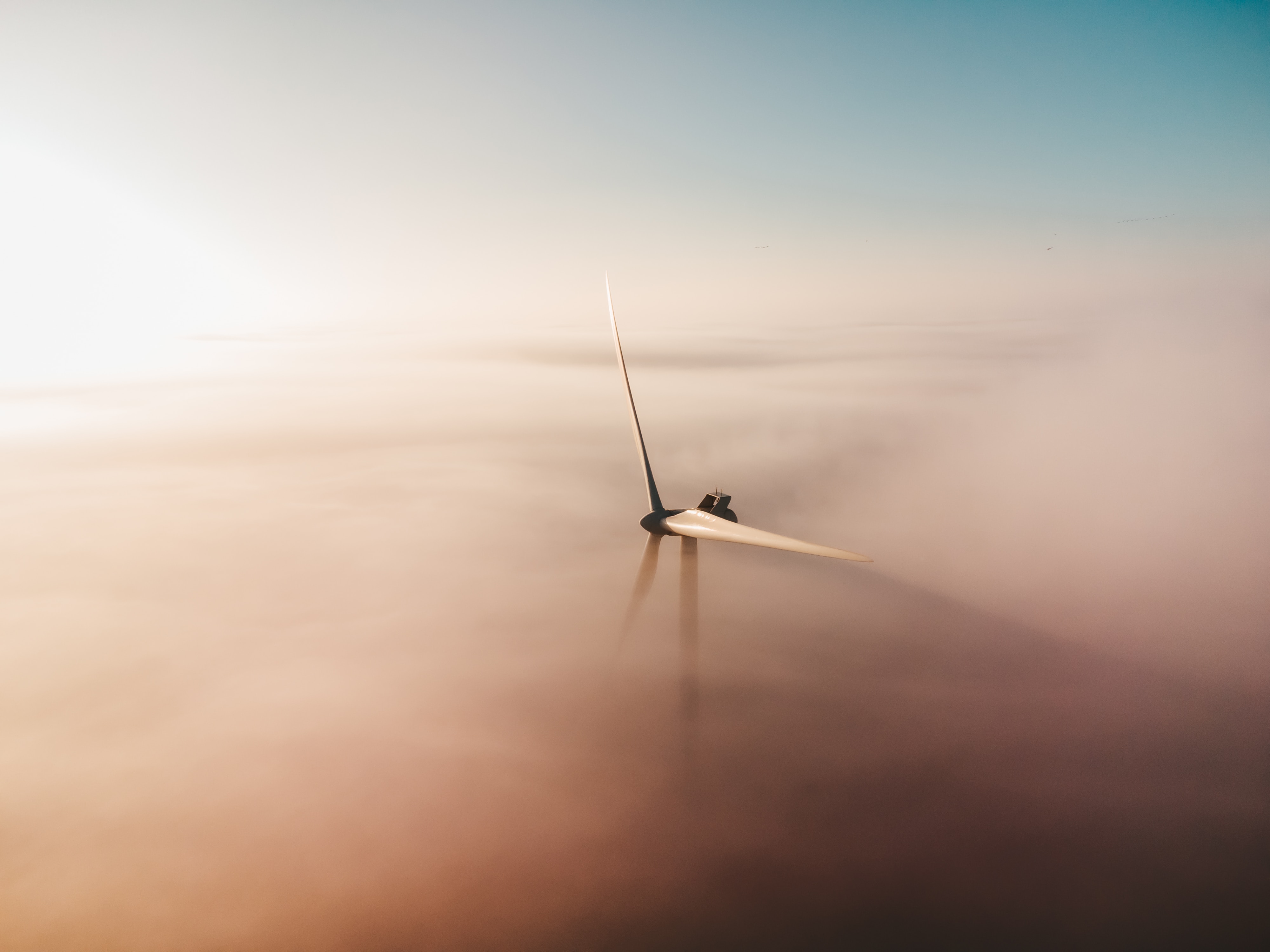 Foto van windmolen in de mist