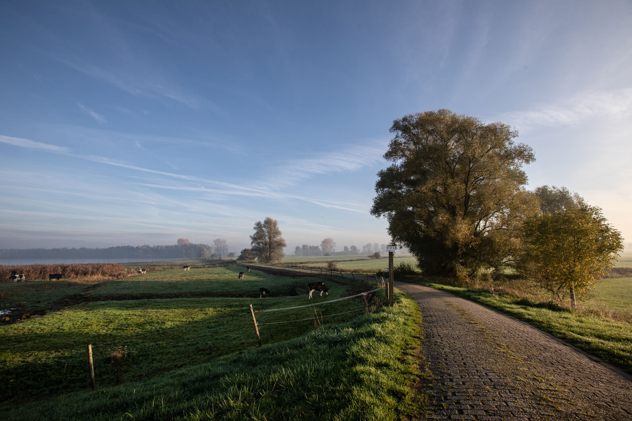 Dijkweg in de zon die loopt naar de horizon.
