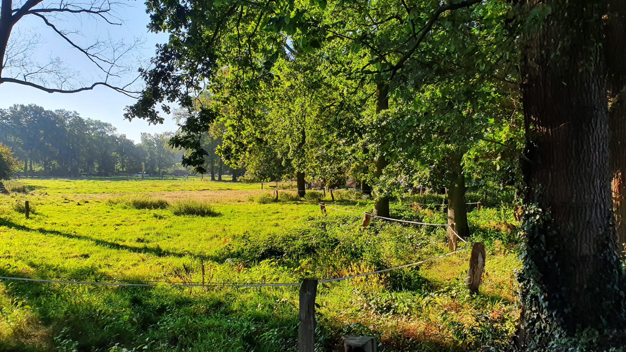 landschap met hek en schrikdraad  omringd door bomen