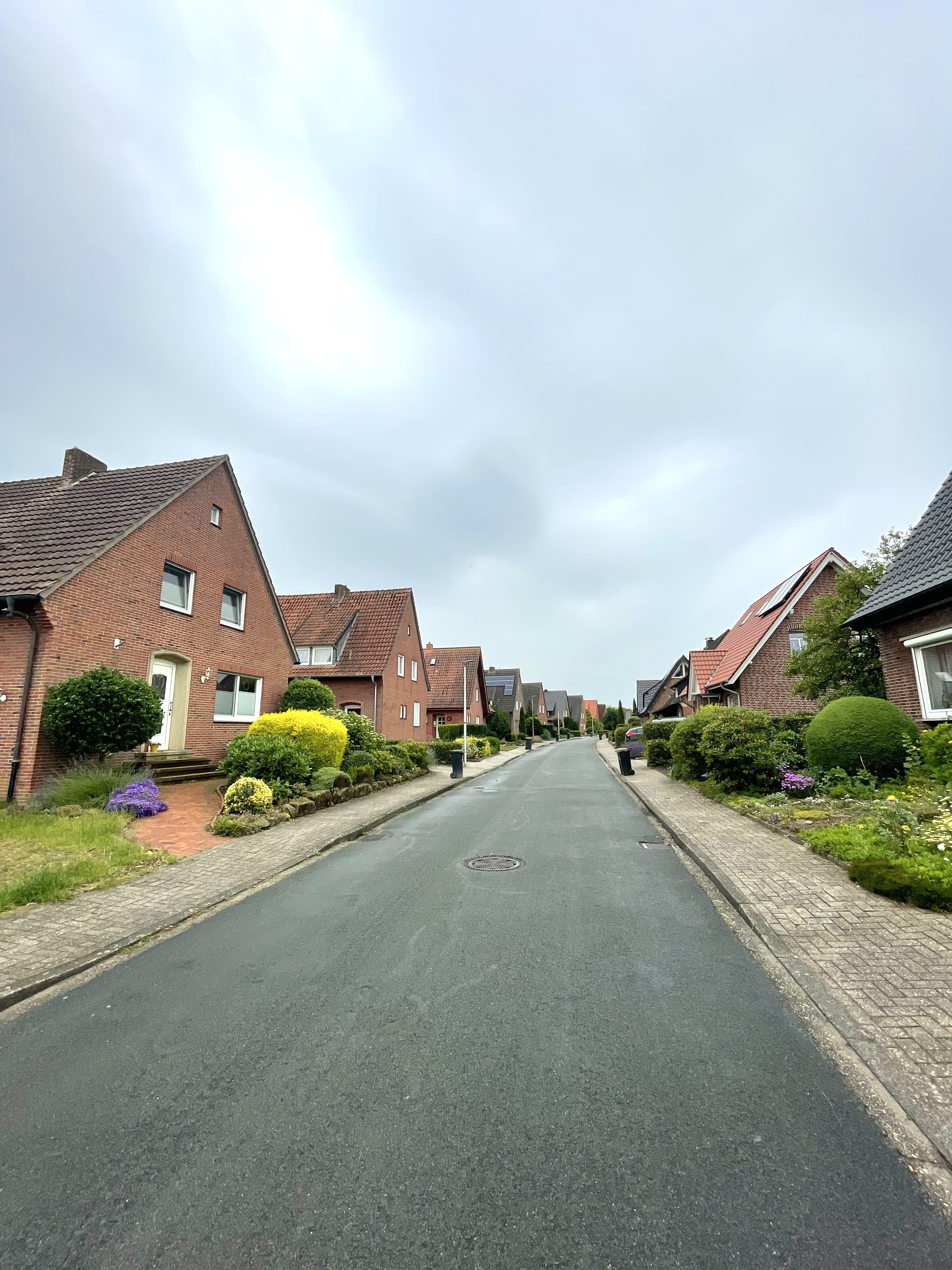 straat met huizen en tuinen voor hun huis